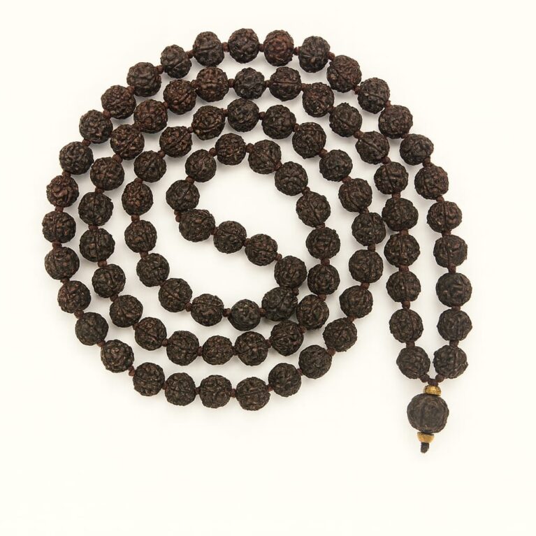 5 Mukhi Rudraksha (Panchmukhi)