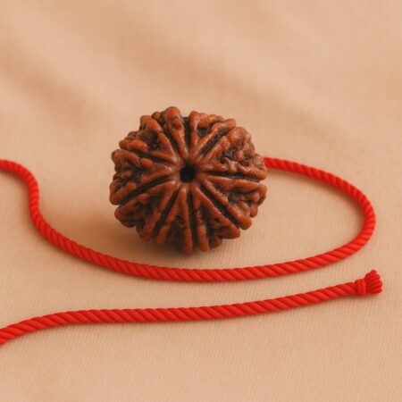 9 Mukhi Rudraksha