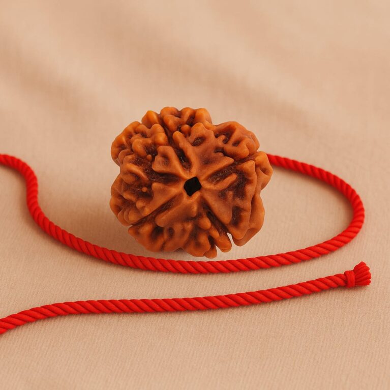 4 Mukhi Rudraksha